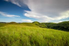 Padang savana Sumba